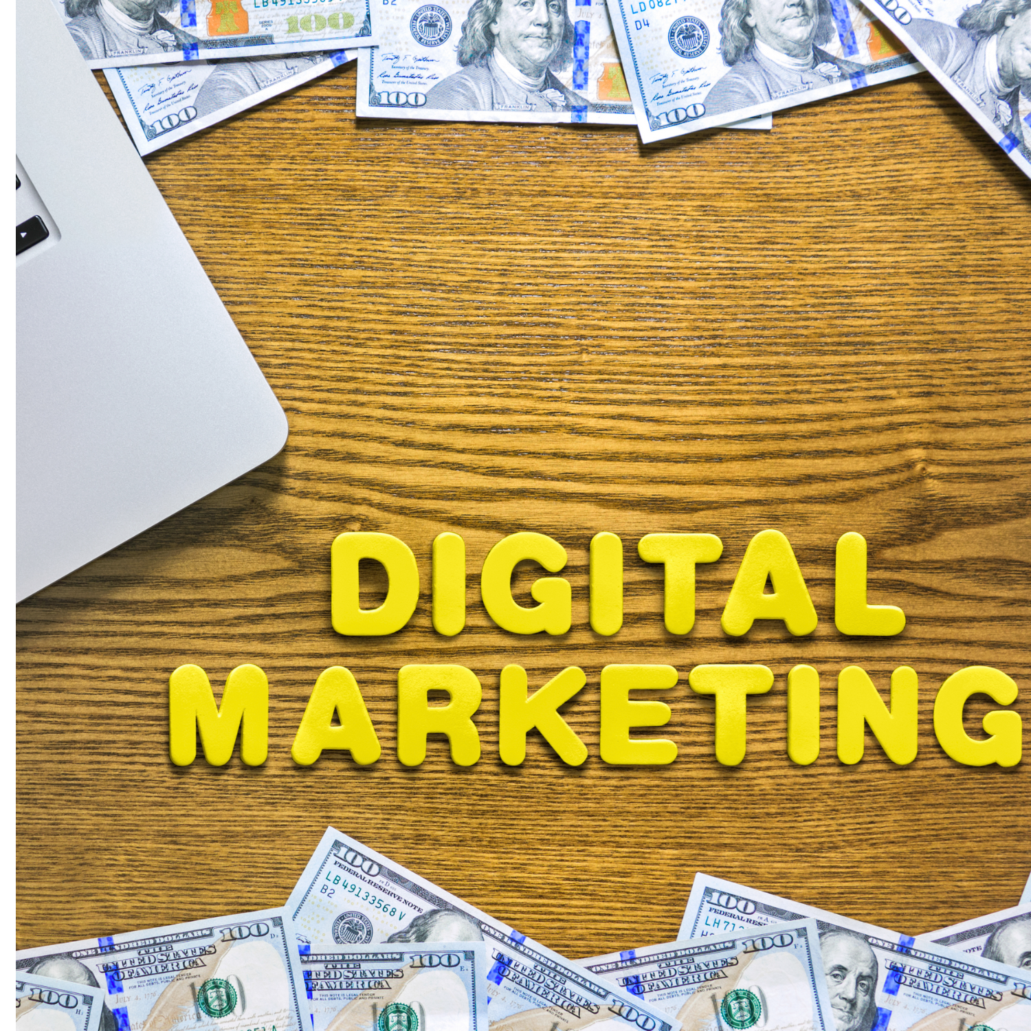 digital marketing company in amritsar